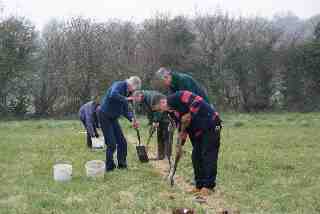 Planting the boundary hedge