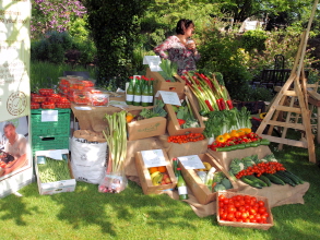 Box Fresh organic vegetables