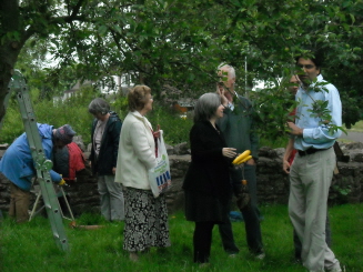 Orchard maintenance